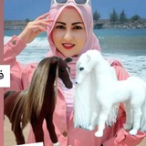 baftani_shekofeh