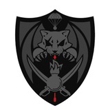 ШТУРМОVЫЕ КОТИКИ