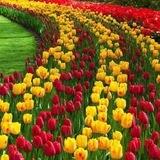 فواائد منوعة 💐