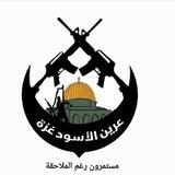 عرين الأسود غزة 🚀