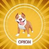 ORION - BSC