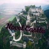 The novel castle