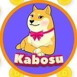 Kabosu かぼす | the OG Doge