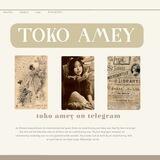 🝳. toko ameyy