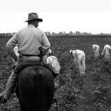 Doctors Farm قلعه پزشکان