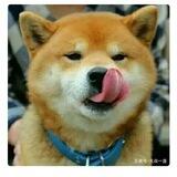 派大星帮银行加人预约群