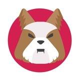 Yorkshire: The Shiba Inu Killer