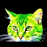 Greener Cat