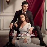 سریال داستان یک شب birgecemasali