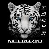 White Tiger Inu 孟加拉白虎 | BSC