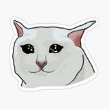 $MEOW
