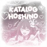 Hoshino katalog
