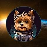 $HOBBES | BSC | ELON TWEET