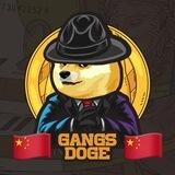 GangsDoge | China 🇨🇳