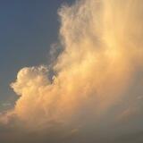 雨新供需2u/15口，发25个供需频道