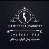 🦜Hamidreza_Parrot🦜