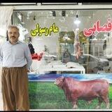 قصابی گوشت گوساله