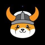 Floki DEX