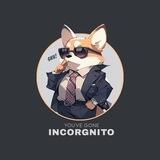 INCORGNITO | LOW TAX | AUDITED