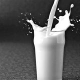 牛奶🥛的圈圈
