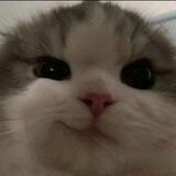 ⋆
