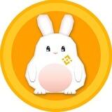 BNB Rabbit Inu