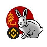BNB RABBIT BSC OFFICIAL ($BNBRBT) | HOLD AND EARN $BUSD