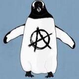 Anarchy international (AI)