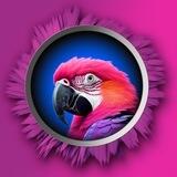 Nebulon 🦜