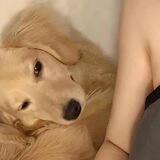 小泉微信im