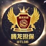 腾龙担保交流大群