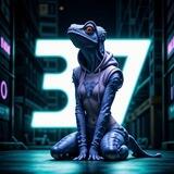 37мий канал