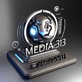 Media 313