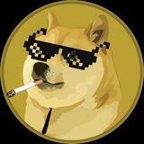ADULT DOGE | $DOGE dev's project