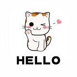 HELLO - 你好