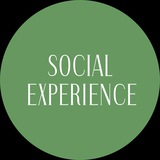 Social Experience