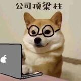 辰一信誉频道