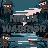 Ninja Warrior: hirtal nih bro