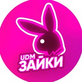 udm зайки