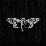 $CICADA PORTAL
