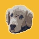 $WFH Binance Dog Portal