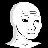 WOJAK Bep-20 ENTRY
