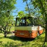 Попутчики в Арт-Ковчег