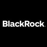 BlackRock Holdings