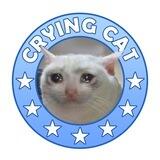 The Crying Cat - $CRYCAT Portal
