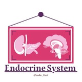 Endocrine system
