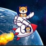 STARSHIP DOGE GLOBAL GROUP