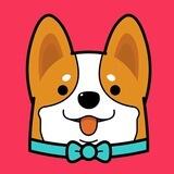 Doge Kaki CEO Renounced Next Gem 100X