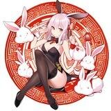 Rabbit Girl Portal