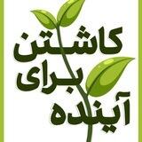کاشتن برای آینده